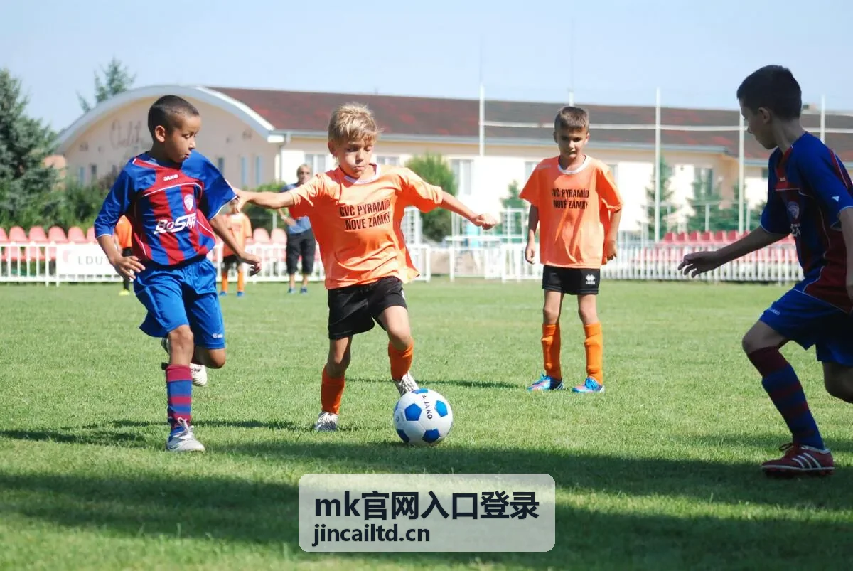 mk官网入口登录新手入门指南封面