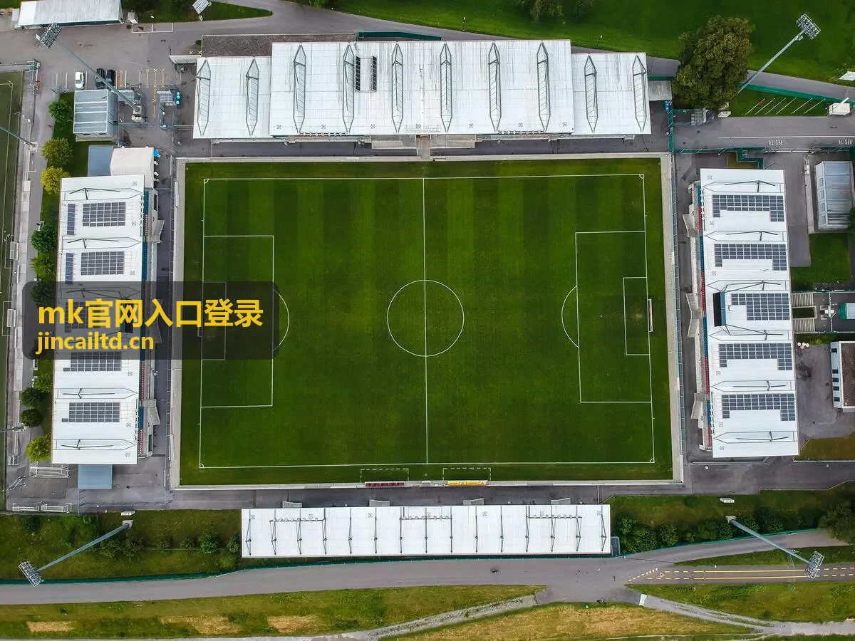 mk官网入口登录登录中心页面视觉图