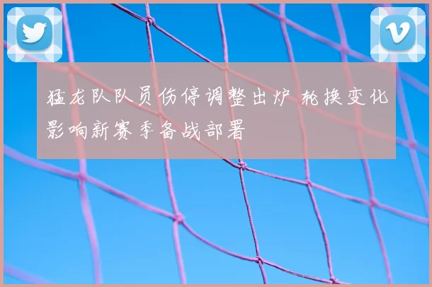 猛龙队队员伤停调整出炉 轮换变化影响新赛季备战部署